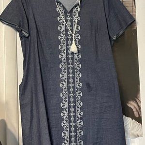 Plus size denim dress